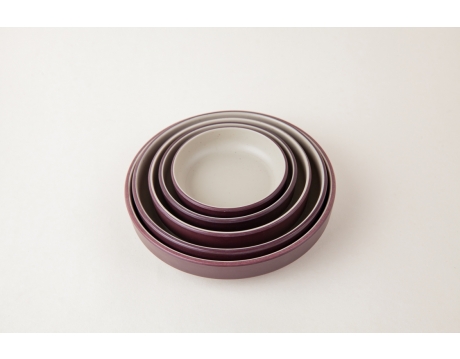 DĨA DS 41N, DS 42N, DS 43N, DS 44N, DS 45N NHÁM 2 LỚP